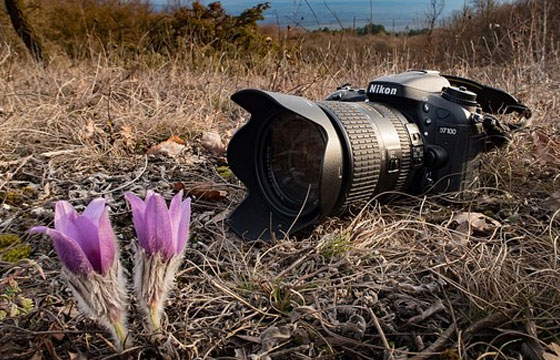 MG動(dòng)畫設(shè)計(jì)中的創(chuàng)意構(gòu)思分析